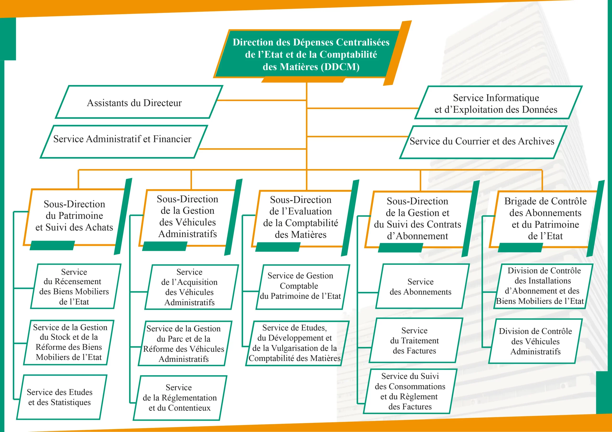 ORGANIGRAMME DDCM